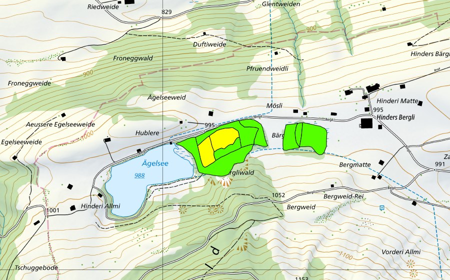 Landeskarte swisstopo mit dem Schutzperimeter von Ägelsee-Moor auf dem Diemtigbergli (Hochmoor)