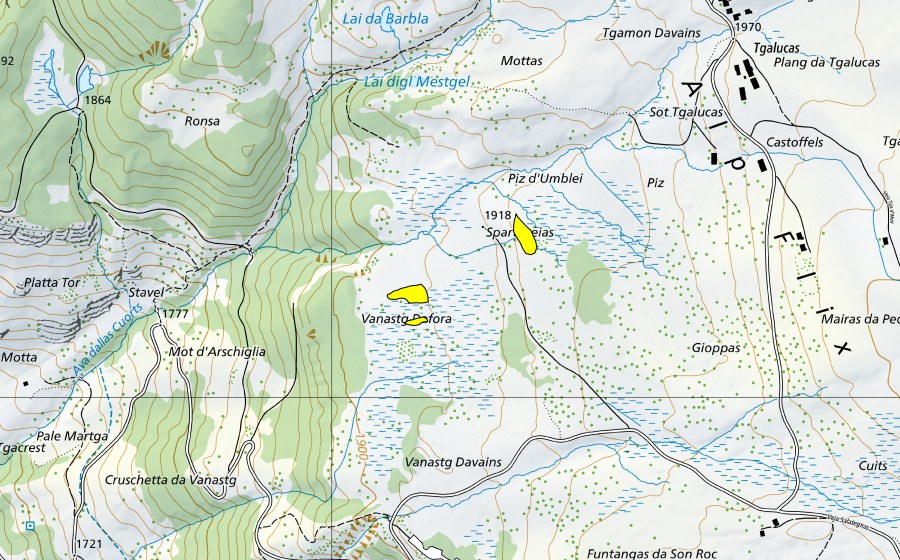Landeskarte swisstopo mit dem Schutzperimeter von Alp Flix (Hochmoor)