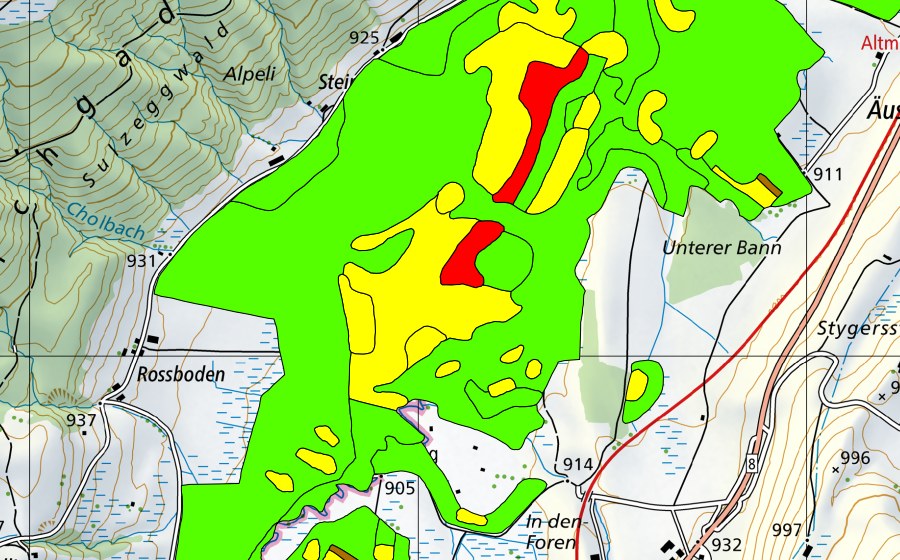Landeskarte swisstopo mit dem Schutzperimeter von Altmatt-Biberbrugg (Hochmoor)