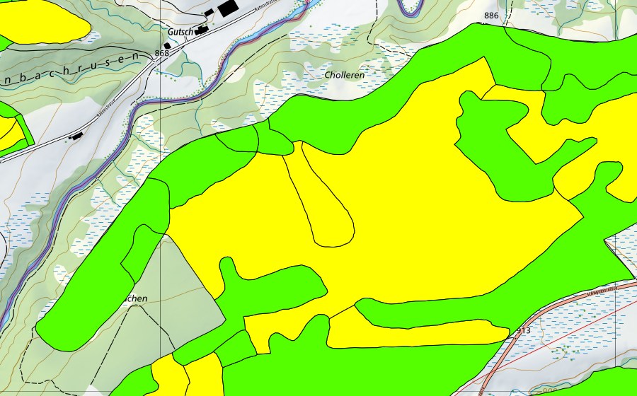 Landeskarte swisstopo mit dem Schutzperimeter von Altmatt-Biberbrugg (Hochmoor)
