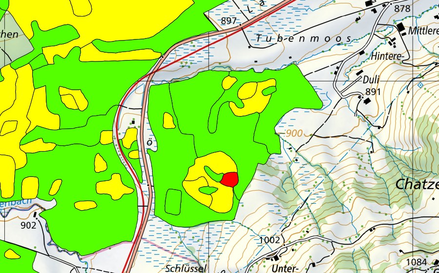 Carte nationale swisstopo avec le périmètre protégé de Altmatt-Biberbrugg (Haut-marais)