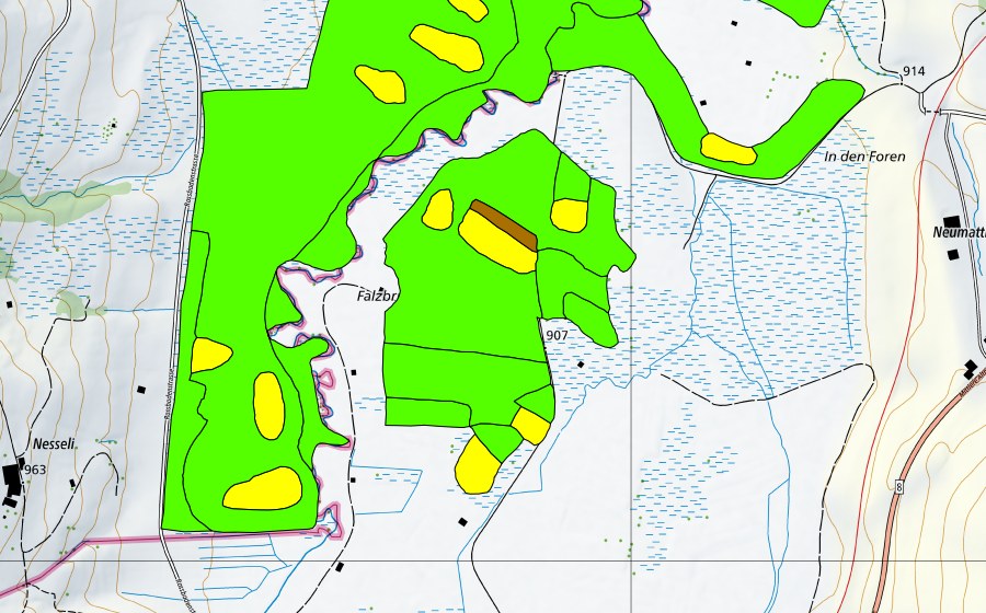 Landeskarte swisstopo mit dem Schutzperimeter von Altmatt-Biberbrugg (Hochmoor)