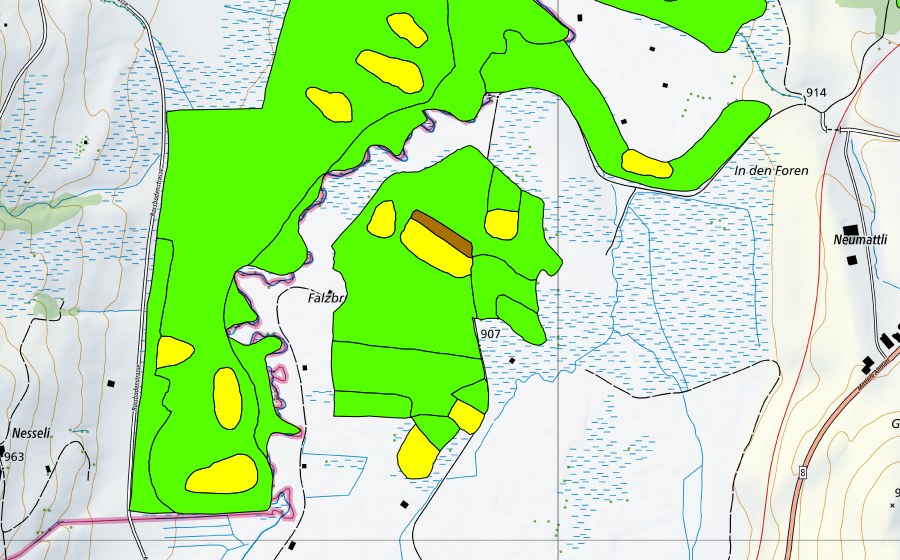Carte nationale swisstopo avec le périmètre protégé de Altmatt-Biberbrugg (Haut-marais)