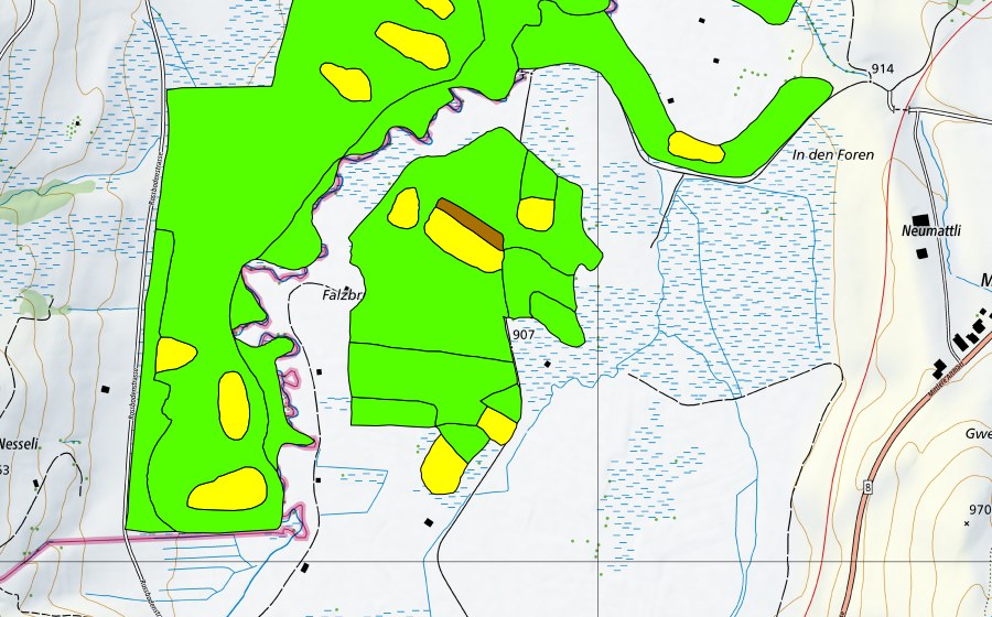 Carte nationale swisstopo avec le périmètre protégé de Altmatt-Biberbrugg (Haut-marais)