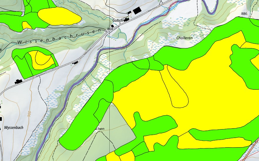 swisstopo national map showing the protected perimeter of Altmatt-Biberbrugg (Raised bog)