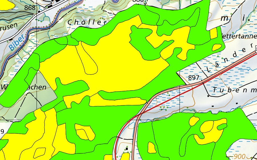 swisstopo national map showing the protected perimeter of Altmatt-Biberbrugg (Raised bog)