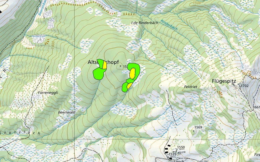 Carte nationale swisstopo avec le périmètre protégé de Altschenchopf (Haut-marais)