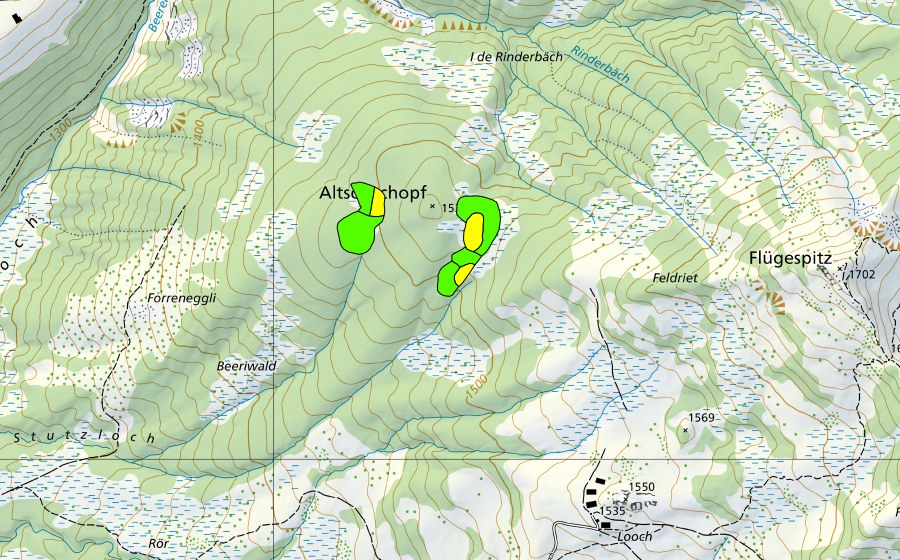 swisstopo national map showing the protected perimeter of Altschenchopf (Raised bog)