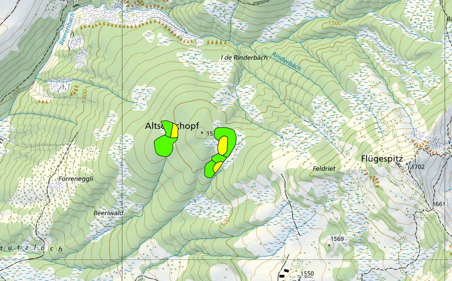 swisstopo national map showing the protected perimeter of Altschenchopf (Raised bog)