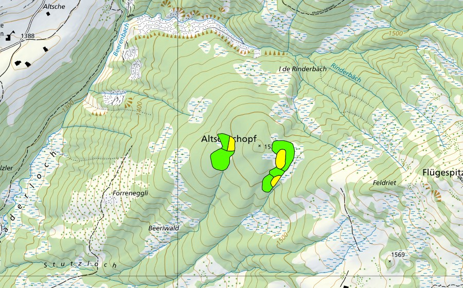 swisstopo national map showing the protected perimeter of Altschenchopf (Raised bog)