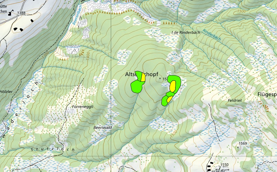 swisstopo national map showing the protected perimeter of Altschenchopf (Raised bog)