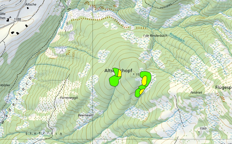 Landeskarte swisstopo mit dem Schutzperimeter von Altschenchopf (Hochmoor)