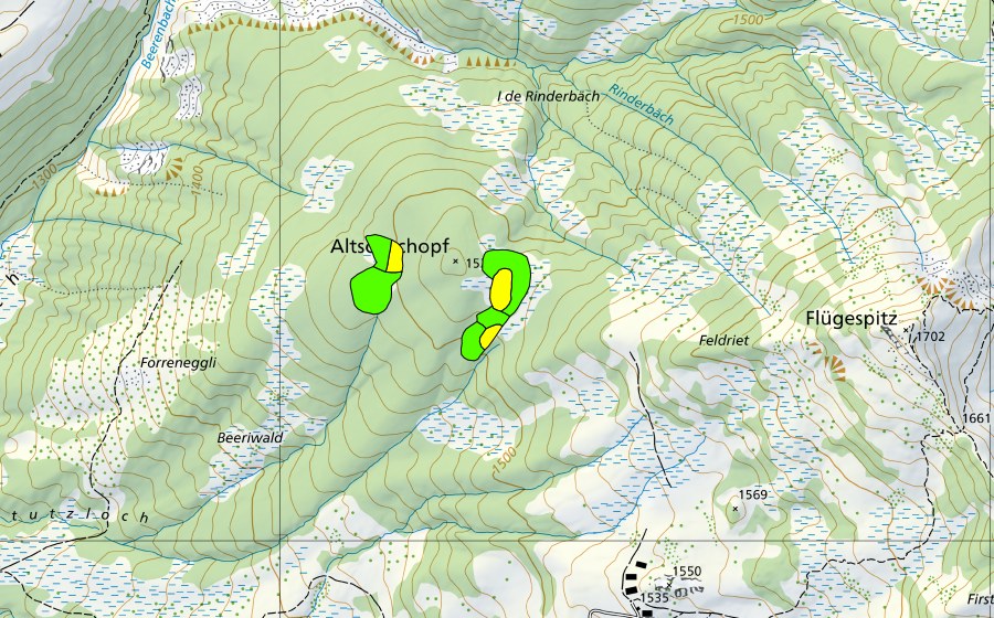 swisstopo national map showing the protected perimeter of Altschenchopf (Raised bog)
