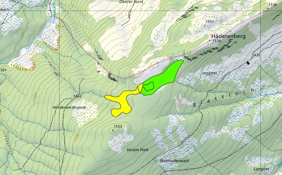 Landeskarte swisstopo mit dem Schutzperimeter von Altstofel (Hochmoor)