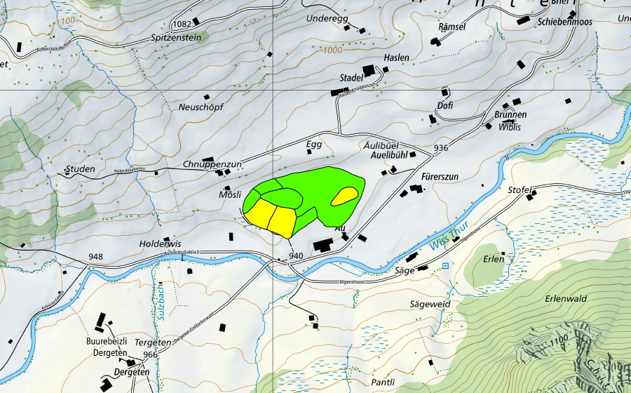 swisstopo national map showing the protected perimeter of Au/Hinterlaad (Raised bog)