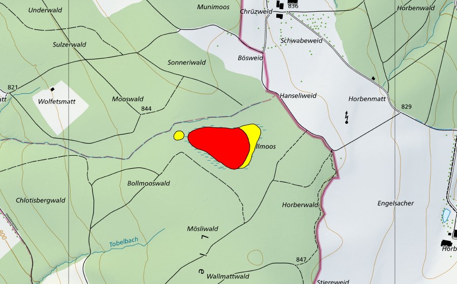 Landeskarte swisstopo mit dem Schutzperimeter von Ballmoos Lieli (Hochmoor)
