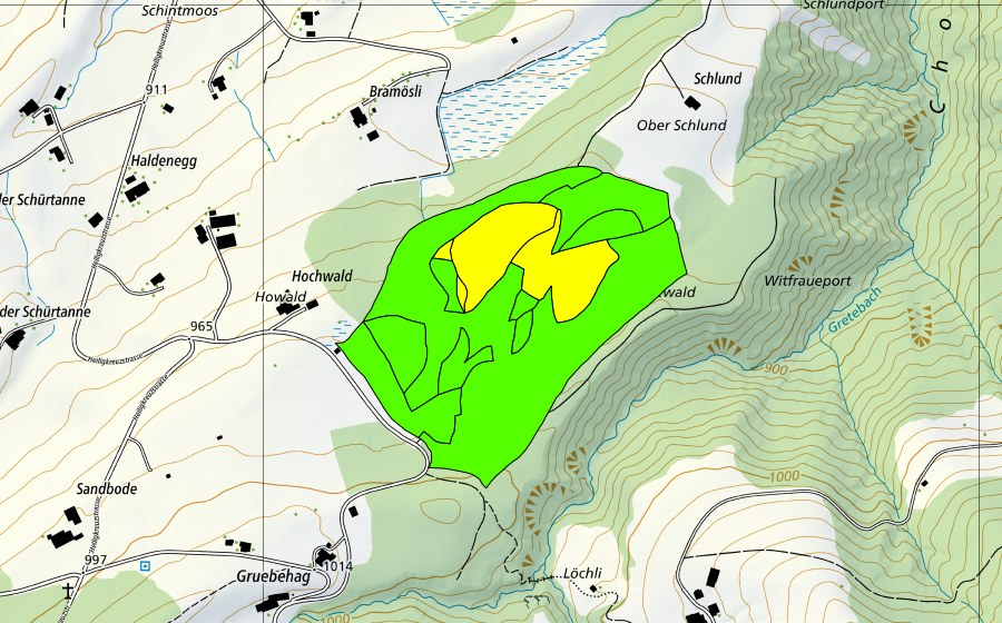 Landeskarte swisstopo mit dem Schutzperimeter von Balmoos (Hochmoor)