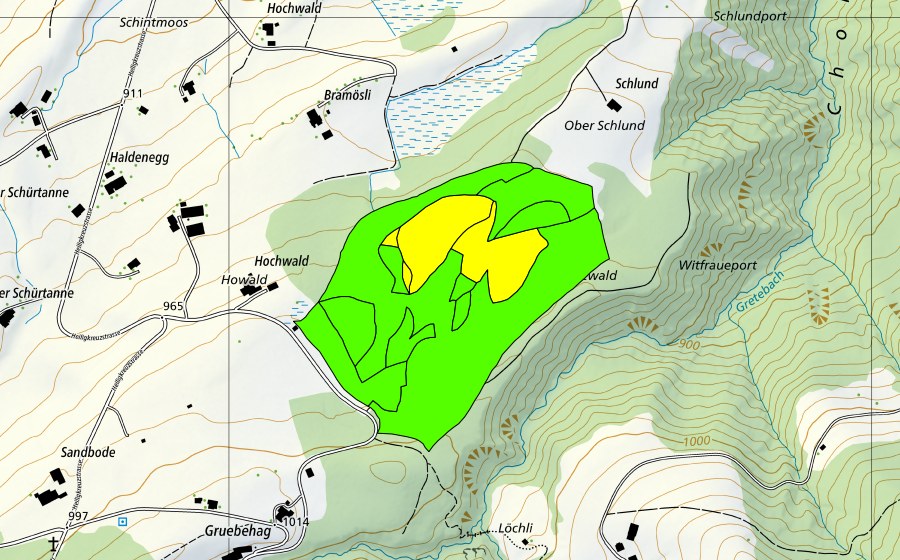 Landeskarte swisstopo mit dem Schutzperimeter von Balmoos (Hochmoor)
