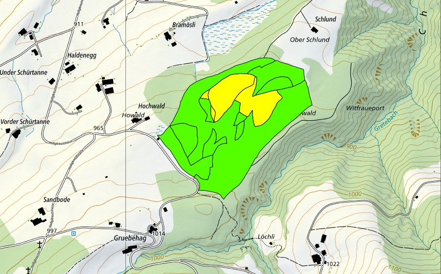Landeskarte swisstopo mit dem Schutzperimeter von Balmoos (Hochmoor)