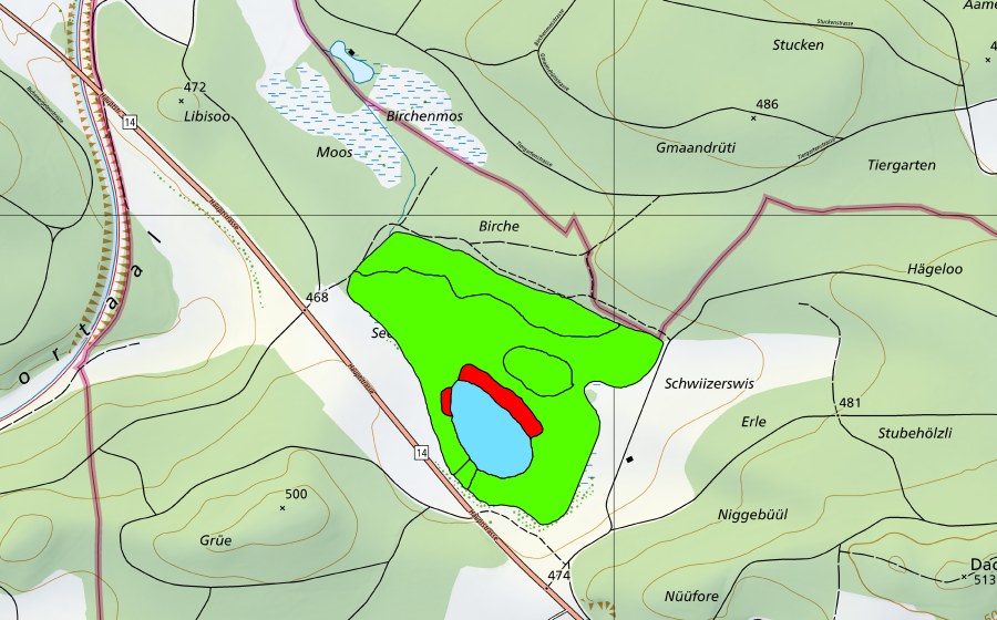 swisstopo national map showing the protected perimeter of Barchetsee (Raised bog)
