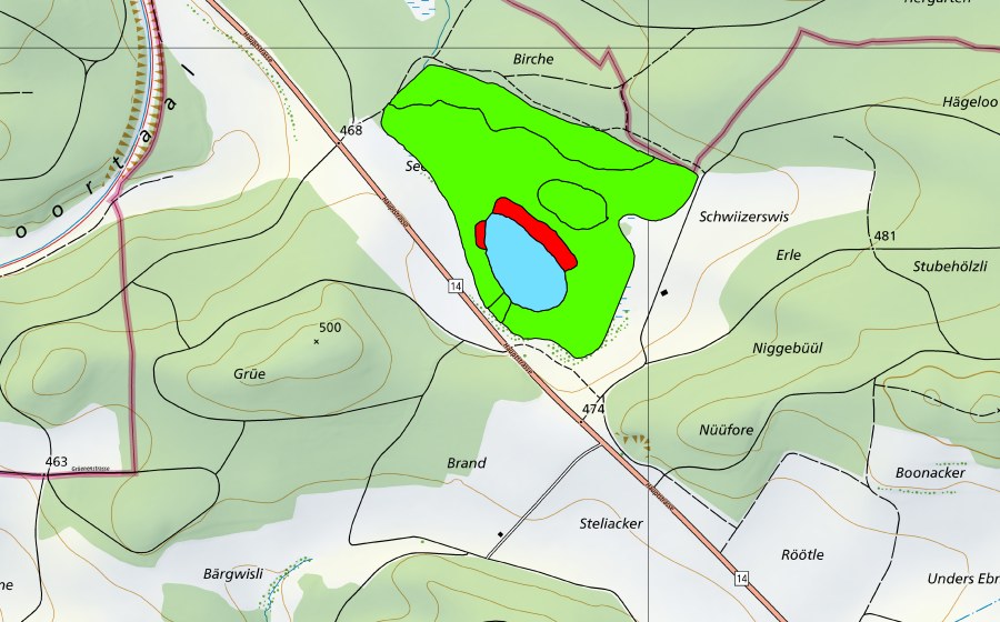 Landeskarte swisstopo mit dem Schutzperimeter von Barchetsee (Hochmoor)