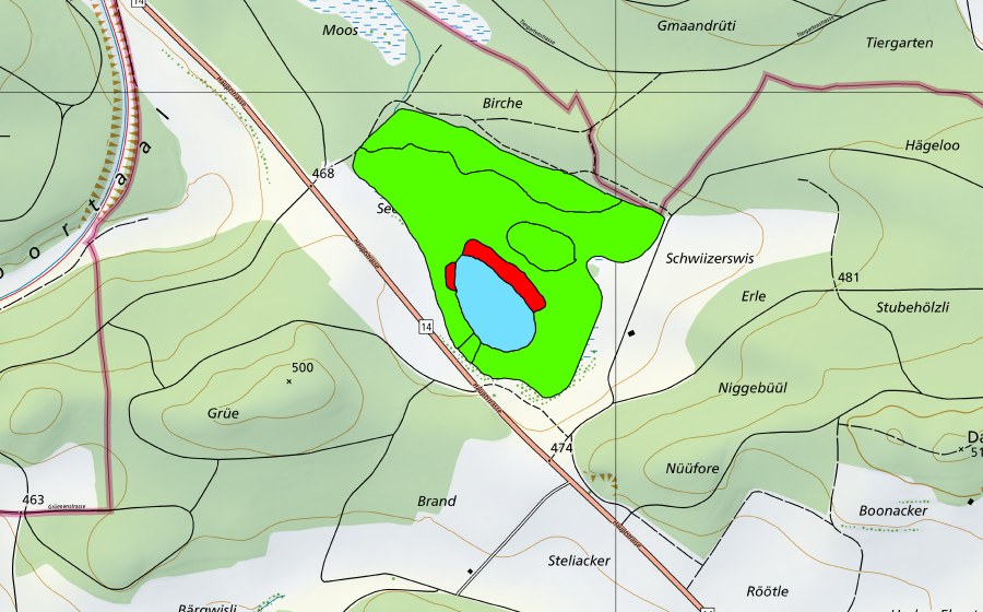 Landeskarte swisstopo mit dem Schutzperimeter von Barchetsee (Hochmoor)