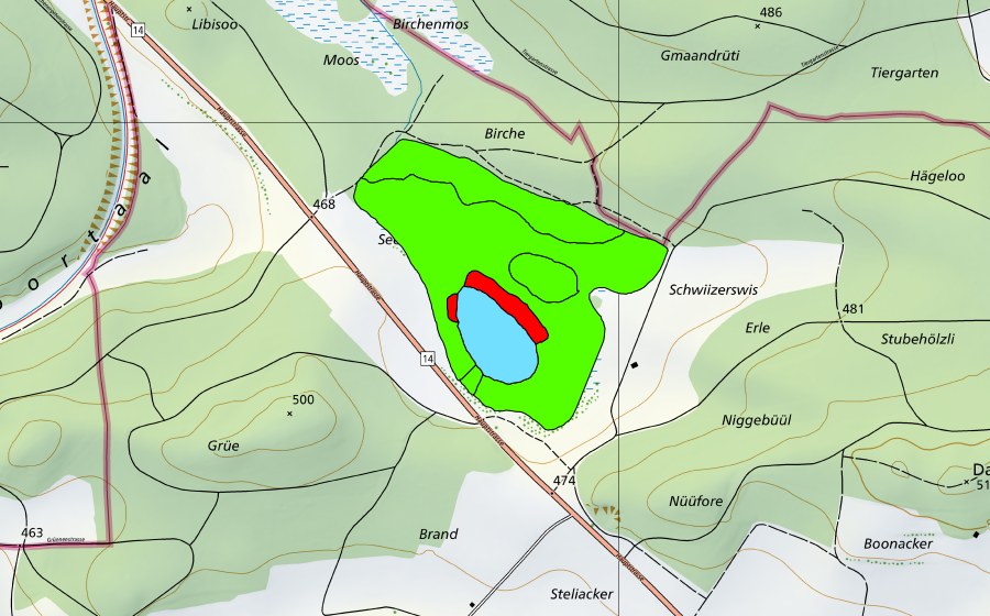 Carta nazionale swisstopo con il perimetro protetto di Barchetsee (Torbiera alta)