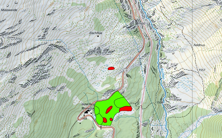 Carte nationale swisstopo avec le périmètre protégé de Bärfel (Haut-marais)