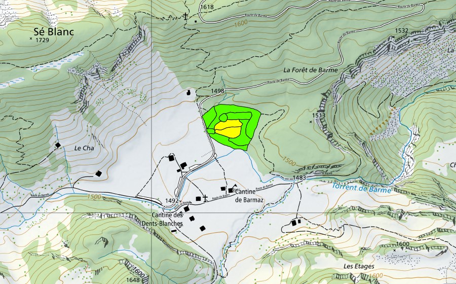 Landeskarte swisstopo mit dem Schutzperimeter von Barme (Hochmoor)