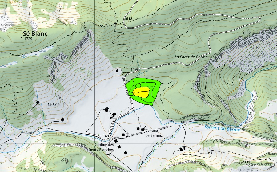Landeskarte swisstopo mit dem Schutzperimeter von Barme (Hochmoor)