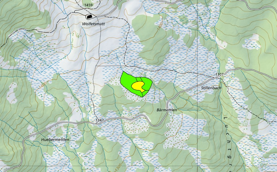 Carte nationale swisstopo avec le périmètre protégé de Bärmettlen (Haut-marais)