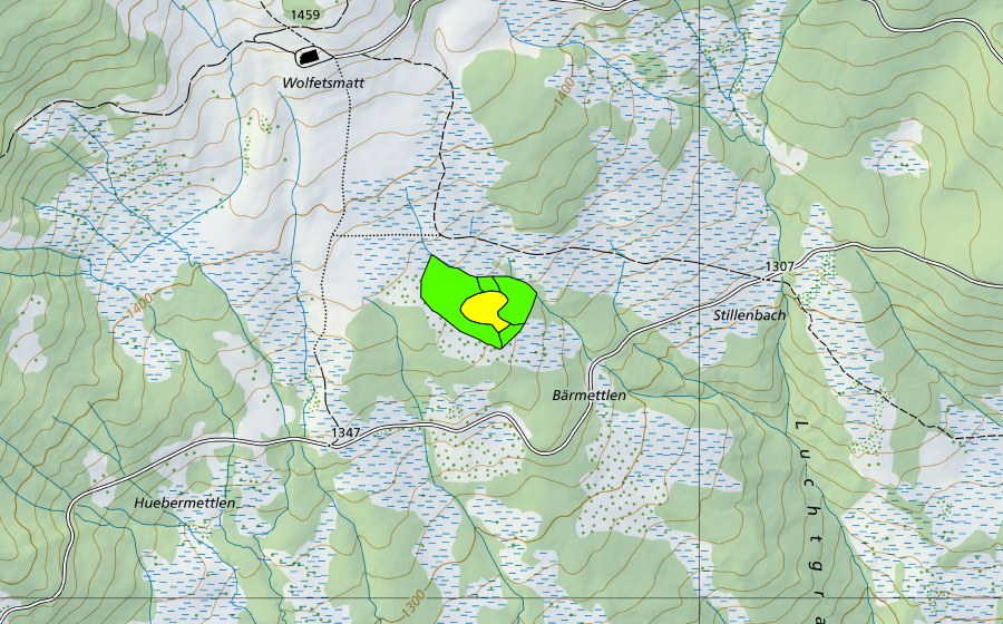 swisstopo national map showing the protected perimeter of Bärmettlen (Raised bog)