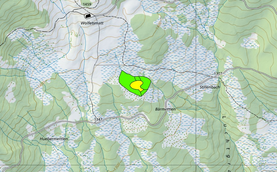 Landeskarte swisstopo mit dem Schutzperimeter von Bärmettlen (Hochmoor)