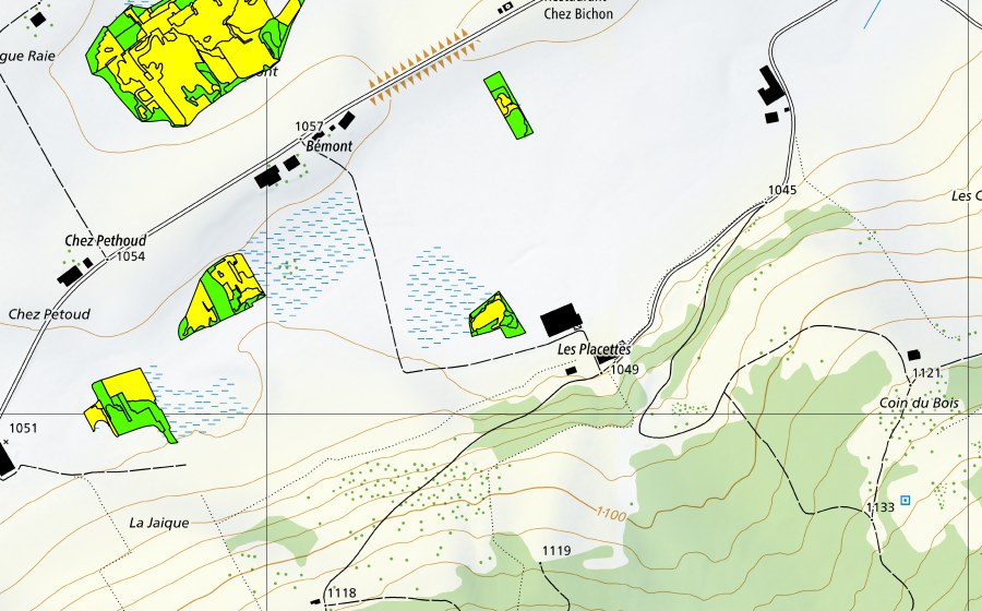 Carte nationale swisstopo avec le périmètre protégé de Bémont/Chez Petoud (Haut-marais)