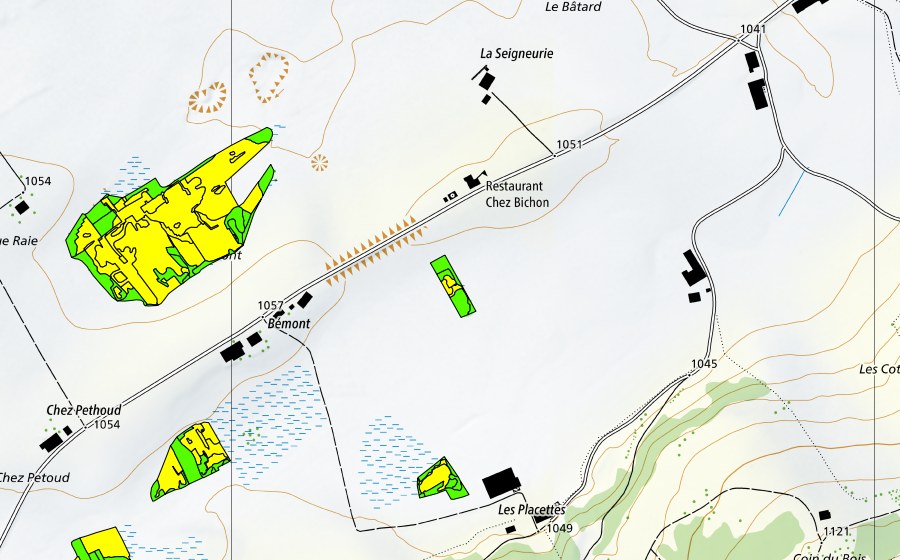 Carte nationale swisstopo avec le périmètre protégé de Bémont/Chez Petoud (Haut-marais)