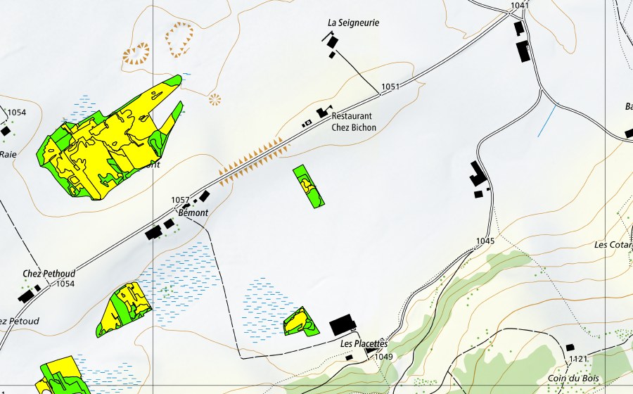 Landeskarte swisstopo mit dem Schutzperimeter von Bémont/Chez Petoud (Hochmoor)