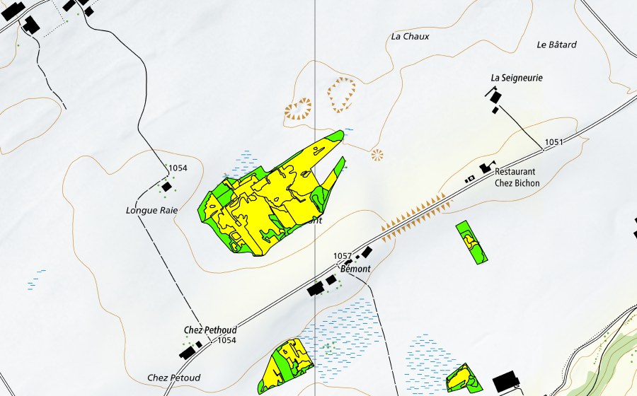 Carte nationale swisstopo avec le périmètre protégé de Bémont/Chez Petoud (Haut-marais)