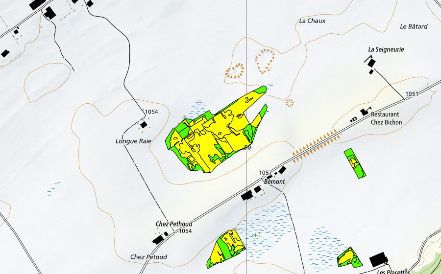 Carte nationale swisstopo avec le périmètre protégé de Bémont/Chez Petoud (Haut-marais)