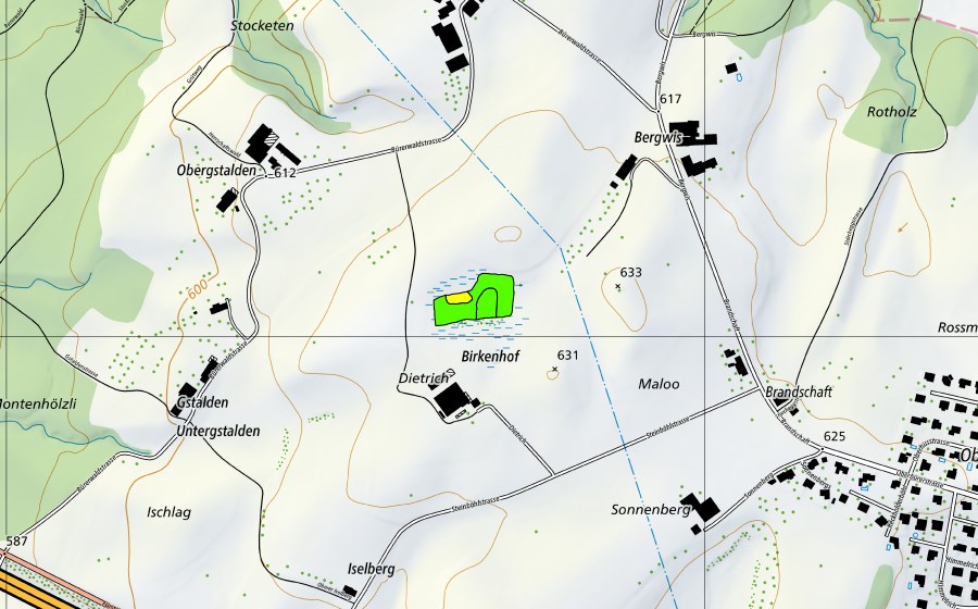 Landeskarte swisstopo mit dem Schutzperimeter von Bergwis (Hochmoor)