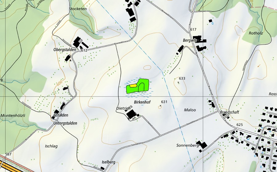 Carte nationale swisstopo avec le périmètre protégé de Bergwis (Haut-marais)