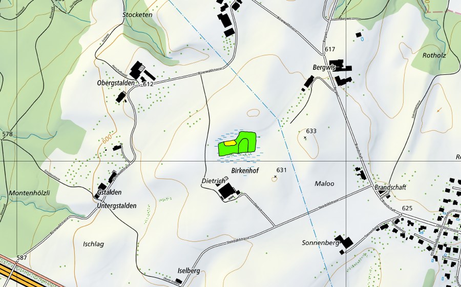 Carte nationale swisstopo avec le périmètre protégé de Bergwis (Haut-marais)