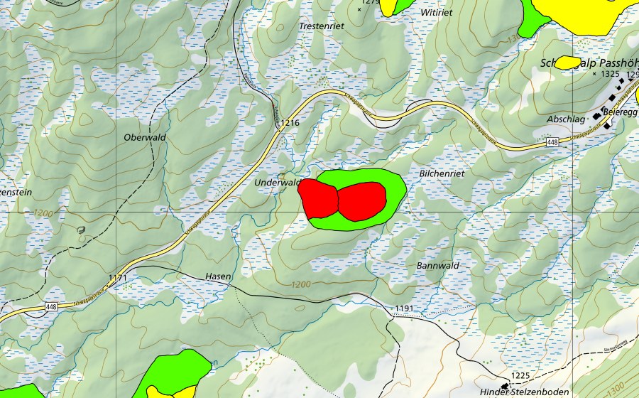 swisstopo national map showing the protected perimeter of Bilchenriet/Unterwald/Schiltmoos (Raised bog)