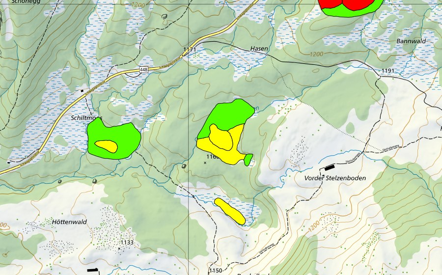 Landeskarte swisstopo mit dem Schutzperimeter von Bilchenriet/Unterwald/Schiltmoos (Hochmoor)