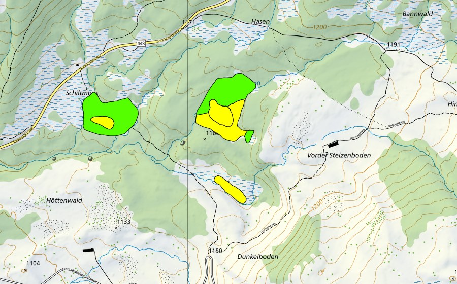 swisstopo national map showing the protected perimeter of Bilchenriet/Unterwald/Schiltmoos (Raised bog)