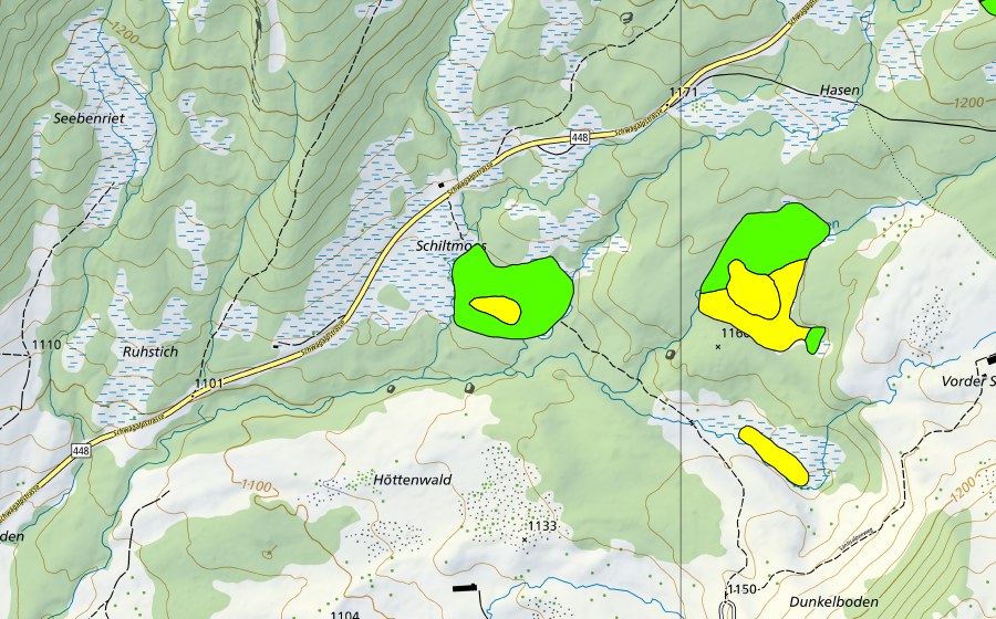 Carte nationale swisstopo avec le périmètre protégé de Bilchenriet/Unterwald/Schiltmoos (Haut-marais)