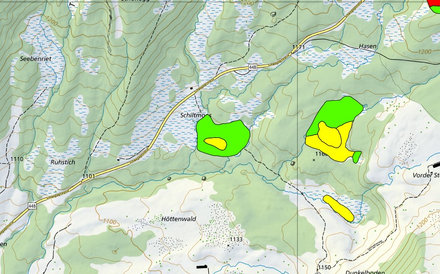 swisstopo national map showing the protected perimeter of Bilchenriet/Unterwald/Schiltmoos (Raised bog)