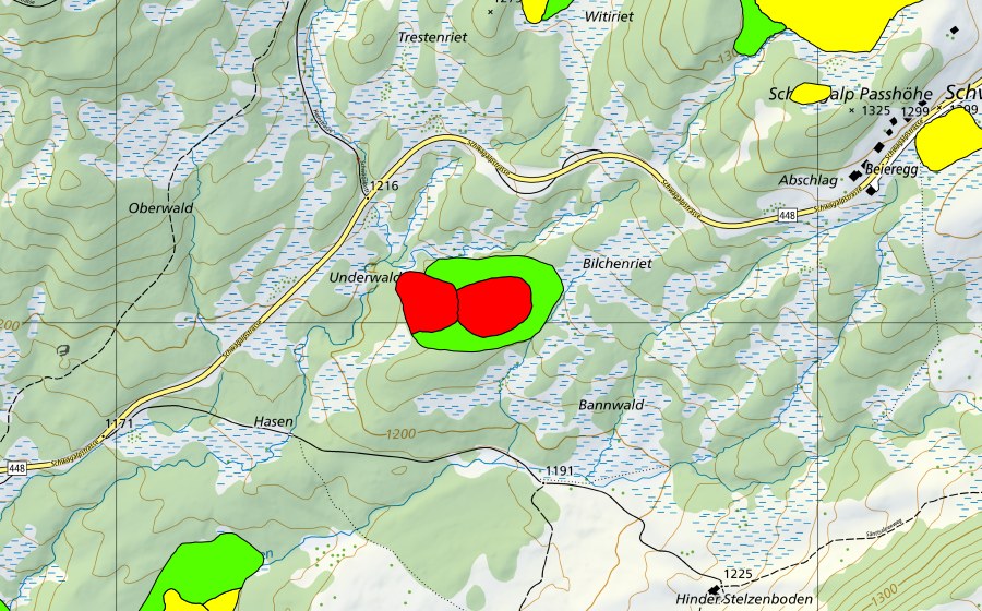 Landeskarte swisstopo mit dem Schutzperimeter von Bilchenriet/Unterwald/Schiltmoos (Hochmoor)