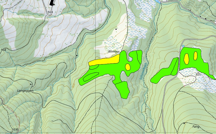 swisstopo national map showing the protected perimeter of Blimoos (Raised bog)