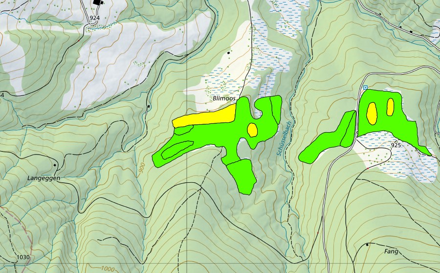Landeskarte swisstopo mit dem Schutzperimeter von Blimoos (Hochmoor)