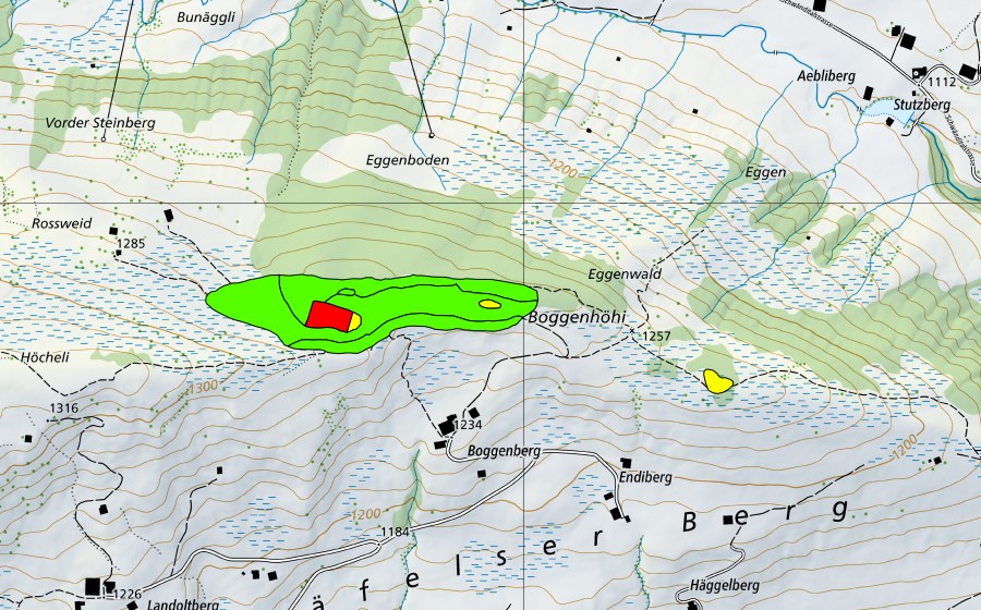 Landeskarte swisstopo mit dem Schutzperimeter von Boggenberg (Hochmoor)
